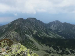 Salatyn