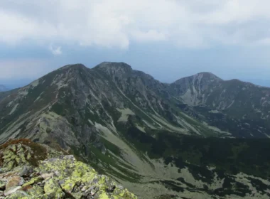 Salatyn