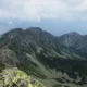 Salatyn